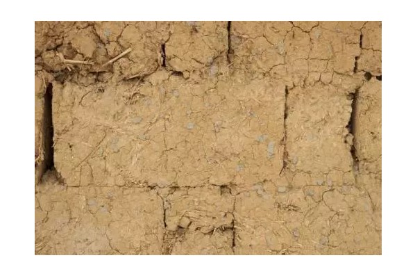 yth游艇会_yth游艇会·首页(欢迎您)